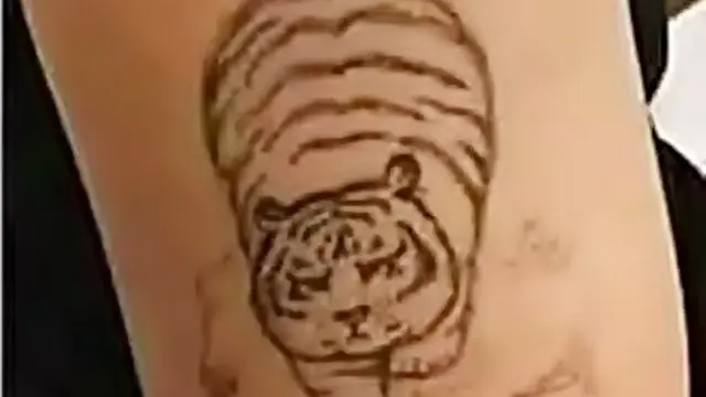 10 Potret Kocak Tato Bagi Pecinta Kucing Ini Hasilnya Lucu dan Menggemaskan