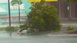 Gambar yang diambil dari video memperlihatkan pohon tumbang diterjang Topan Debbie di Bowen, Australia timur, Selasa, (28/3). Akibat badai ini dilaporkan sebanyak 25 ribu warga dievakuasi . (AuBC melalui AP)