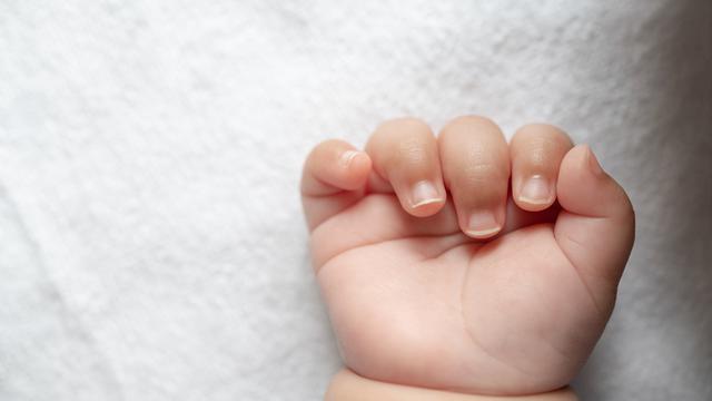 Factors Influencing Zodiac Sign Distribution