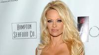 Pamela Anderson (Evan Agostini, Invision/AP)
