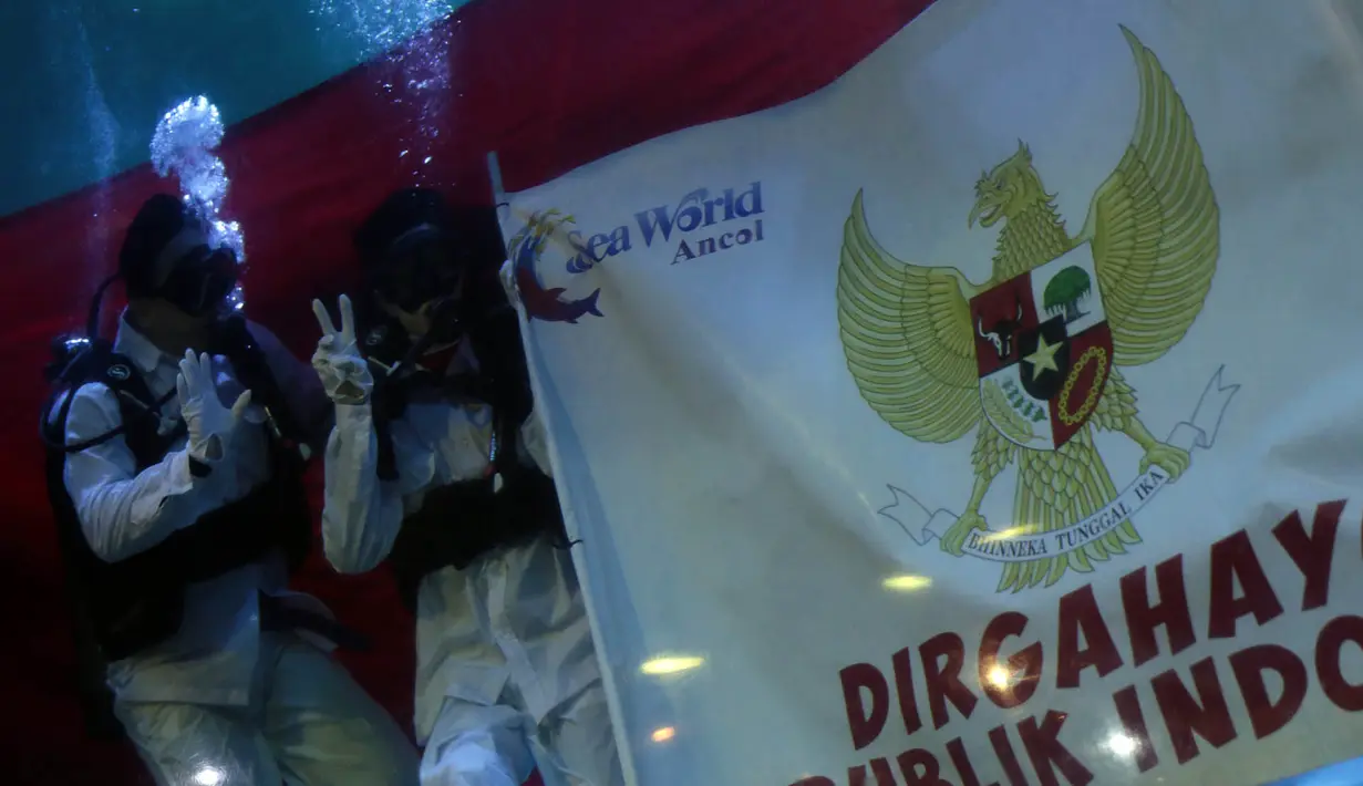"Ini aku akan mengibarkan bendera under water. Sebenarnya untuk ngibarin bendera aku enggak pernah , ini pertama kali aku ngibarin bendera," kata Aurelie Moeremans di Seaworld Ancol, Jakarta Utara, Kamis (17/8). (Deki Prayoga/Bintang.com)