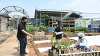 Menteri BUMN Erick Thohir mengajak warga memanfaatkan lahan perumahan menjadi lokasi pertanian. Erick pun menggagas Energi Tani atau ET di kawasan Kembangan Jakarta Barat. (Istimewa)