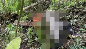 2 Pendaki Gunung Piramid Ditemukan Tewas di Jurang