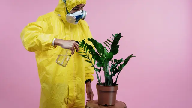 Mudah Dibasmi dengan Disinfektan