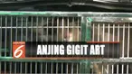 Proses evakuasi pun berlangsung lancar tanpa penolakan dari sang pemilik Arya Bimo yang bekerja sebagai presenter televisi.