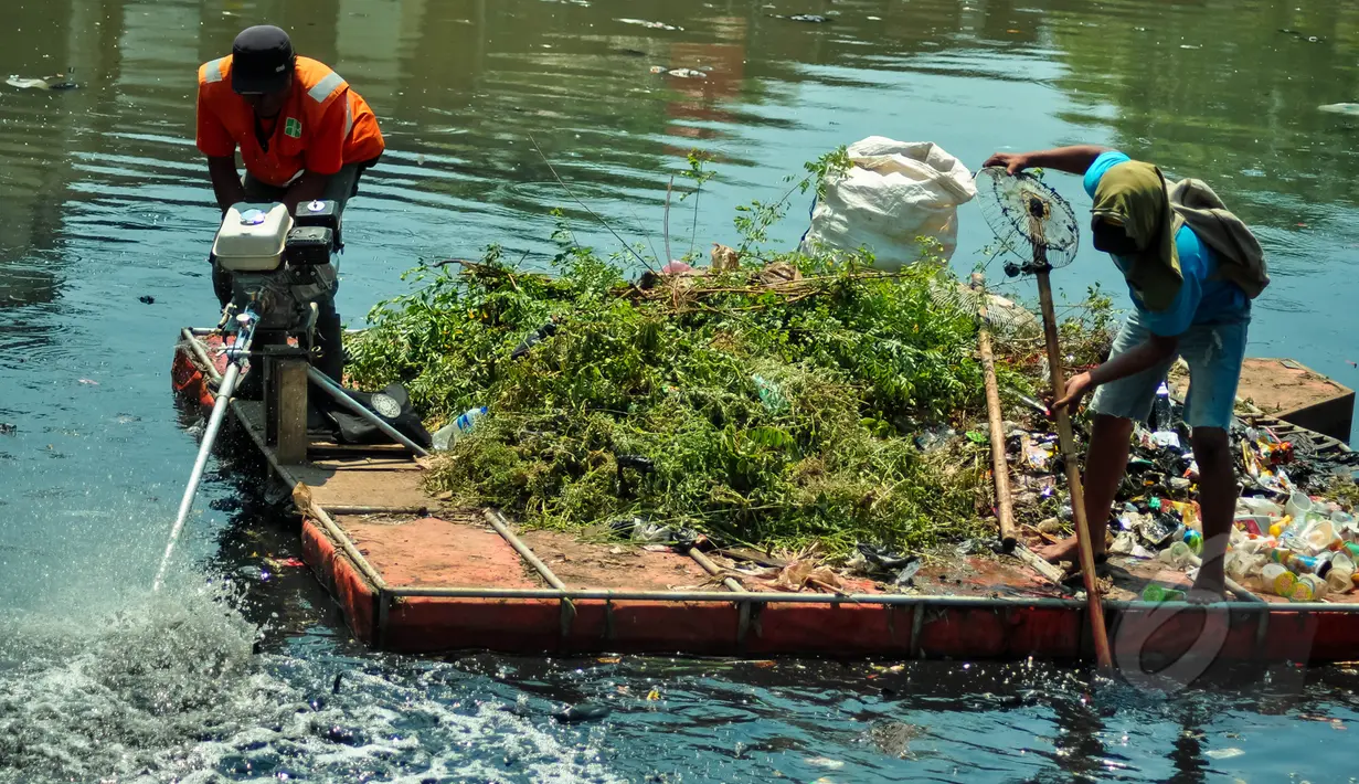 Pekerja kebersihan membersihkan tumbuhan liar dan sampah di bantaran Kali Sentiong, Jakarta, Selasa (31/3/2015). Kegiatan tersebut dilakukan guna mengantisipasi banjir dan mengurangi penumpukan sampah di sepanjang sungai. (Liputan6.com/Faizal Fanani)