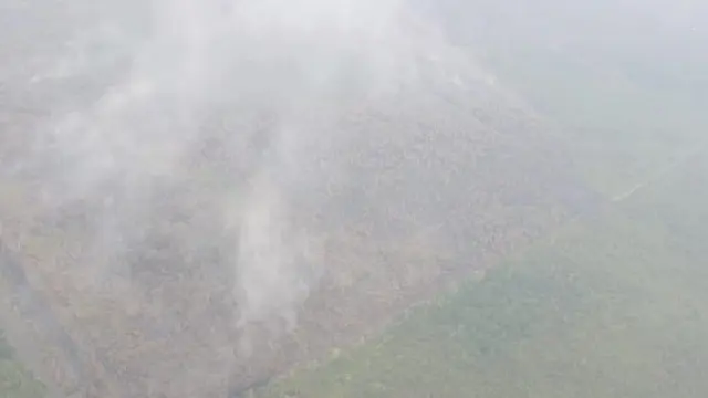 Kebakaran Hutan