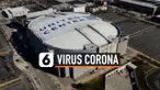 Thumbnail chicago bulls virus corona