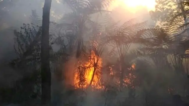 Relawan berupaya memadamkan api di Lereng Gunung Slamet, Petak 58A, Dukuh Bambangan, Kutabawa, Karangreja, Purbalingga. (Foto: Liputan6.com/Perhutani/Muhamad Ridlo)