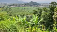 Napak Tilas ke Bekas TPA Leuwigajah, Lokasi Tragedi Lingkungan Terbesar di Indonesia karena Longsoran Gunung Sampah
