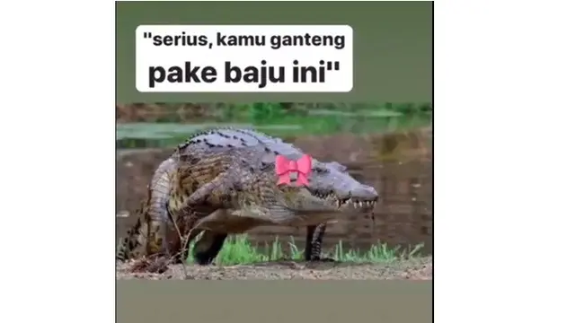 Cowo Wajib Tahu Dereten Meme Kata Kata Manis Para Buaya Betina Milzeru International union for conservation of nature, lembaga internasional untuk buaya muara di tepian sungai di desa catur rahayu. dereten meme kata kata manis para buaya