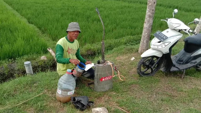 petani di ngawi