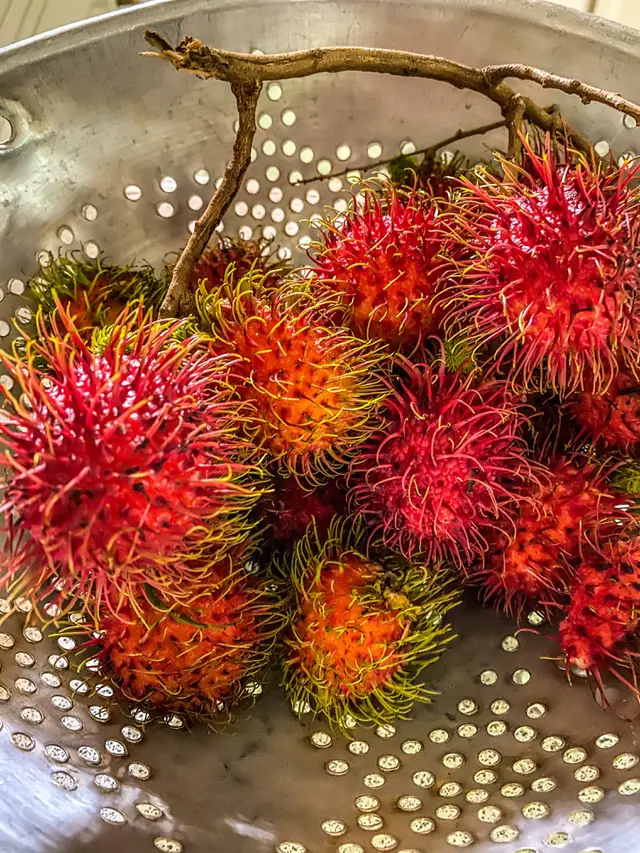 rambutan