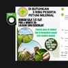 Kumpulan Hoaks Catut Nama Kementan, dari Bantuan Traktor hingga Petani Milenial