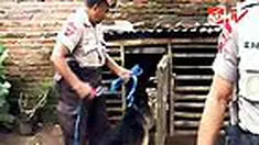 liputan6