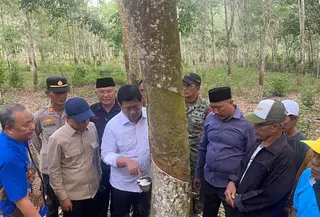 Wakil Menteri Transmigrasi, Viva Yoga Mauladi di Kebun Karet