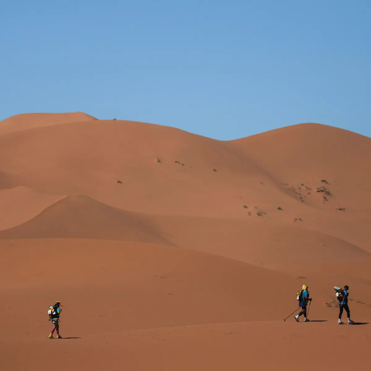 Gema Gaib Sahara