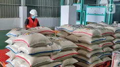 Bulog Siap Salurkan Bantuan Pangan Beras Juli-September 2026