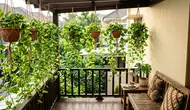 9 Desain Pagar Hidup dari Sirih Gading untuk Teras Kecil, Cocok untuk Rumah Minimalis