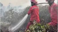 Tim Satgas Ungkap Kendala Padamkan Kebakaran Hutan di Jambi