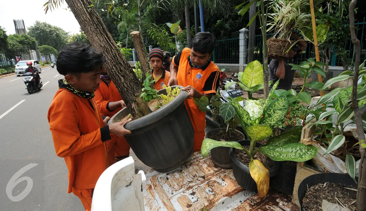 Petugas PPSU mengangkut tanaman hias yang diperdagangkan di sepanjang trotoar Jalan Asia Afrika, Jakarta, Selasa (18/5/2016). Penertiban ini terkait revitalisasi trotoar dan persiapan menyambut Asian Games 2018 mendatang. (Liputan6.com/Helmi Fithriansyah)