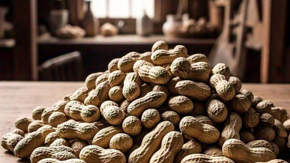 Begini Cara Menyimpan Kacang Tanah Agar Awet Berbulan-Bulan, Tak Busuk dan Mengerut