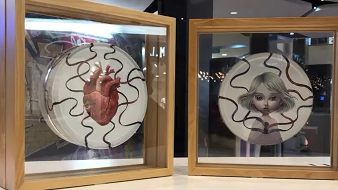 Foto: copyright vemale.com