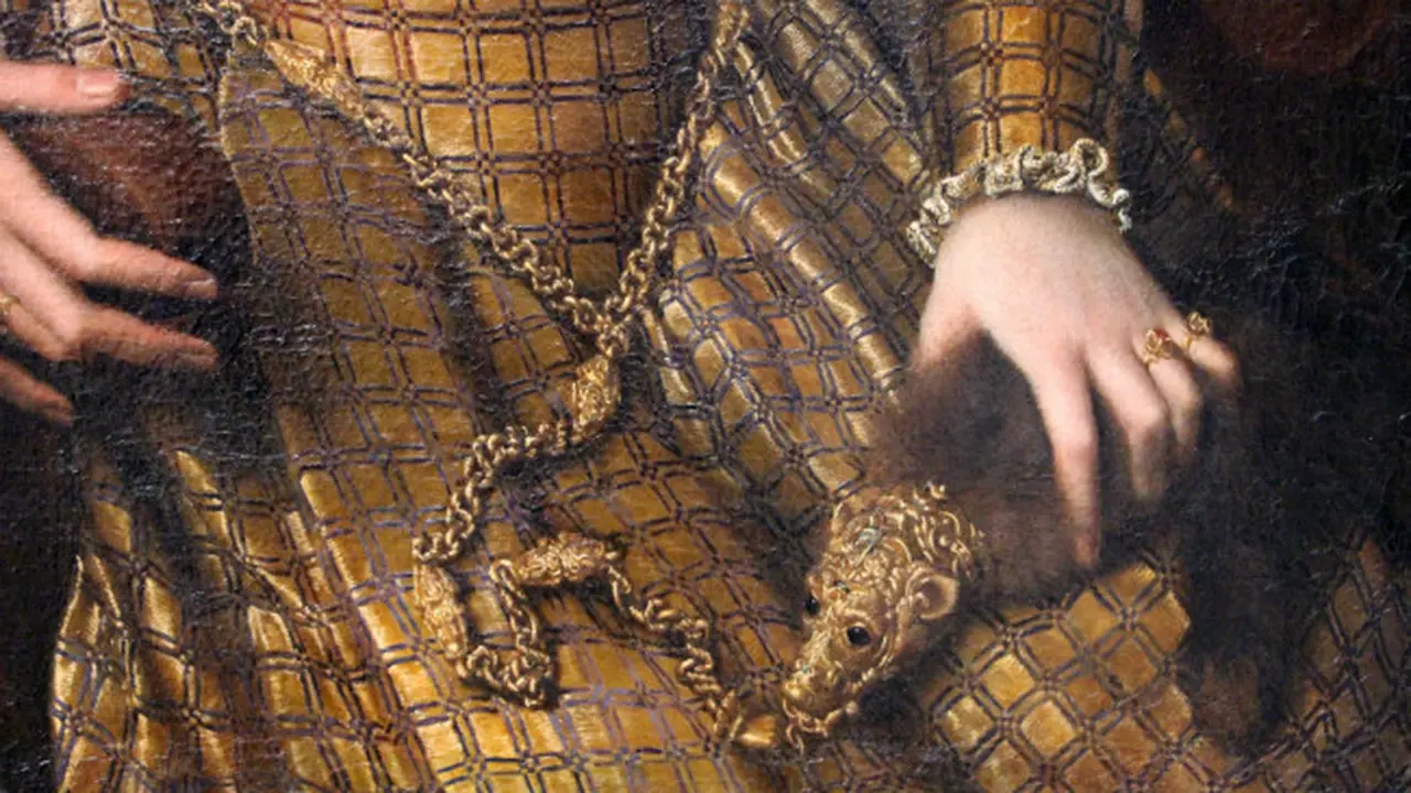 Zibellino