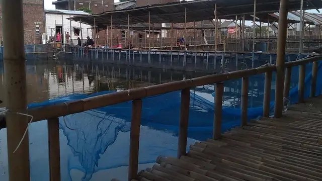 Rekomendasi Spot Mancing Nyaman 2025 di Semarang