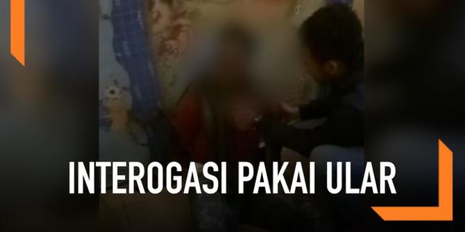 VIDEO: Interogasi Jambret Pakai Ular, Polda Papua Minta Maaf