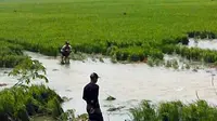 Karawang Tetap Berambisi Jadi Lumbung Padi Terbesar di Indonesia