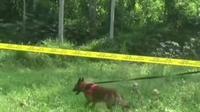 Polisi terjunkan anjing pelacak untuk mengungkap kasus pembunuhan siswi MI di Kecamatan Kalibaru, Banyuwangi (Istimewa)