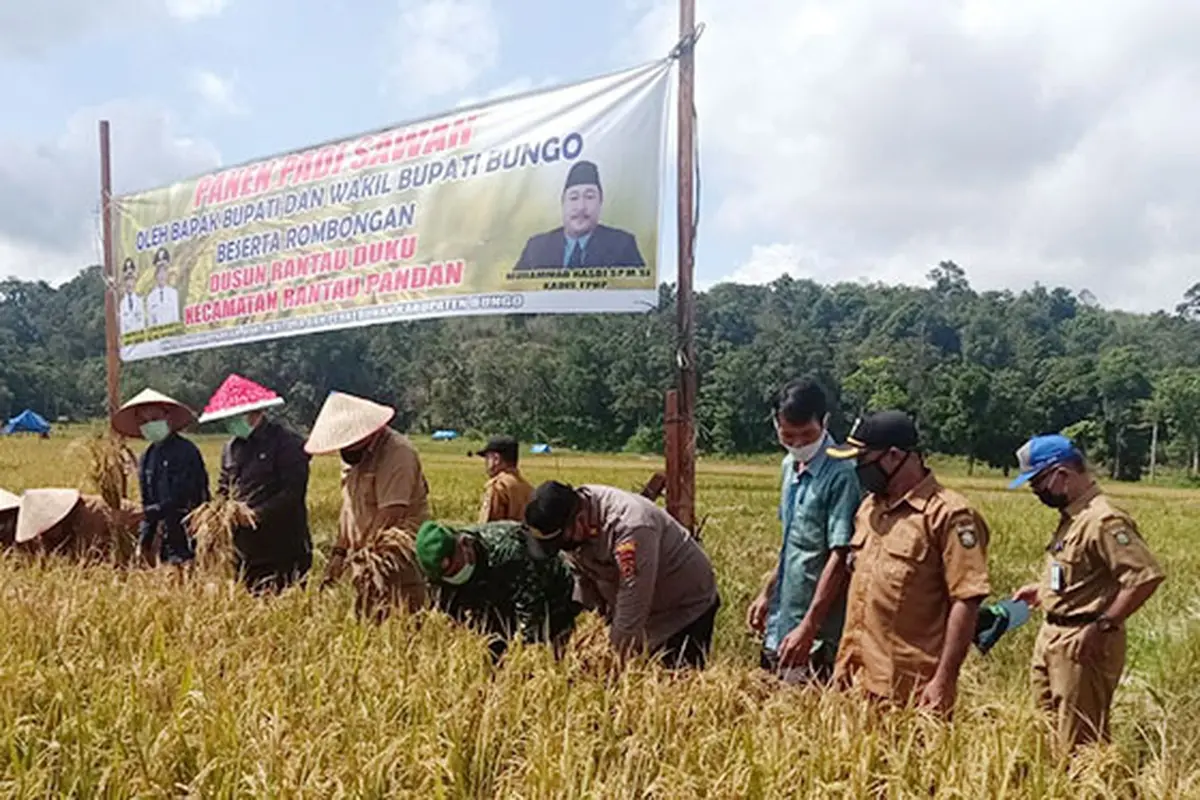 Bupati Bungo: Kami Siap Menjaga Pangan Indonesia