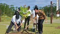 Wapres Gibran Tanam Pohon Ulin di IKN