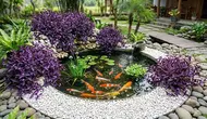 10 Inspirasi Kolam Minimalis dengan Tanaman Pinggir Berwarna Ungu, Elegan dan Menenangkan