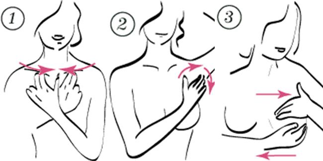 Teknik memijat payudara yang bisa dilakukan sendiri. | Foto: copyright hoano.com