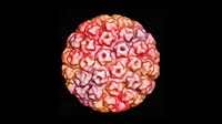 Virus HPV terdapat dalam beberapa tipe, kini baru ada ada vaksin yang mampu cegah 4 tipe HPV. (Foto: philstockworld.com)