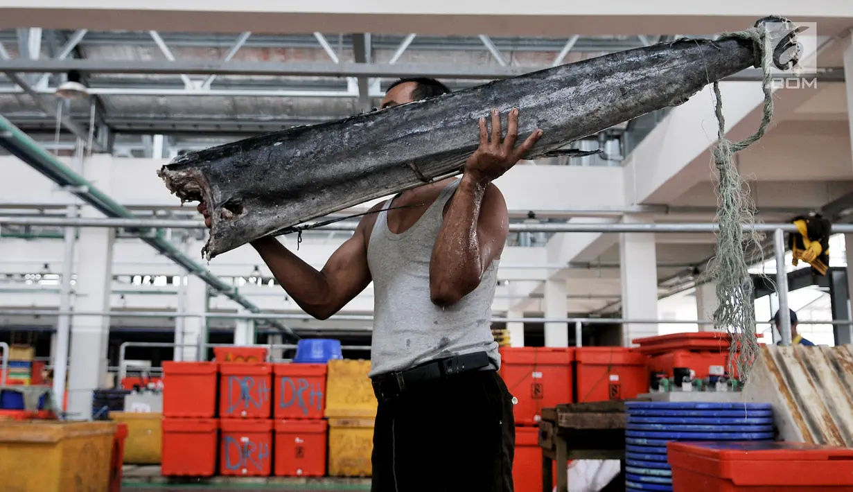 Pedagang membawa ikan di Pasar Ikan Modern (PIM) Muara Baru, Jakarta, Kamis (21/2). PIM Muara Baru mulai ditempati pedagang yang sebelumnya berjualan di Pasar Pelelangan Ikan (PPI). (Merdeka.com/Iqbal Nugroho)