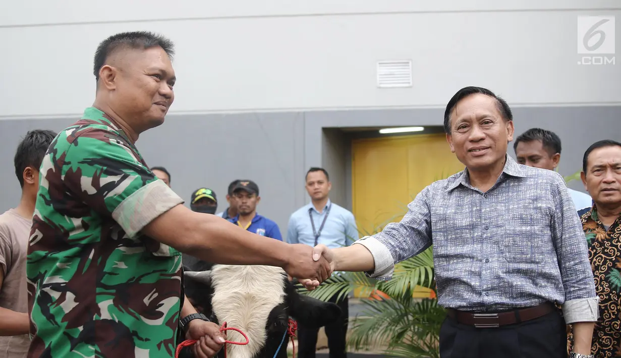 Direktur SCM Imam Sudjarwo menyerahkan 1 ekor sapi ke perwakilan TNI saat  penyerahan hewan kurban 1439 H di Studio 5 Indosiar, Jakarta, Kamis (16/8). SCM membagikan hewan kurban sebanyak 5 sapi dan 45 kambing. (Liputan6.com/Herman Zakharia)