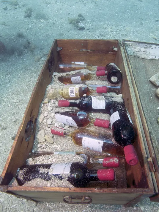 Botol anggur Bandol yang disimpan di dasar Laut Mediterania, Saint-Mandrier di Prancis, setelah melalui percobaan penyimpanan satu tahun, 15 Mei 2017. Percobaan untuk mengetahui dampak jika botol anggur itu disimpan lama di dalam air. (Boris HORVAT/AFP)