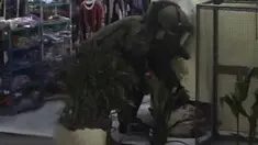 liputan6