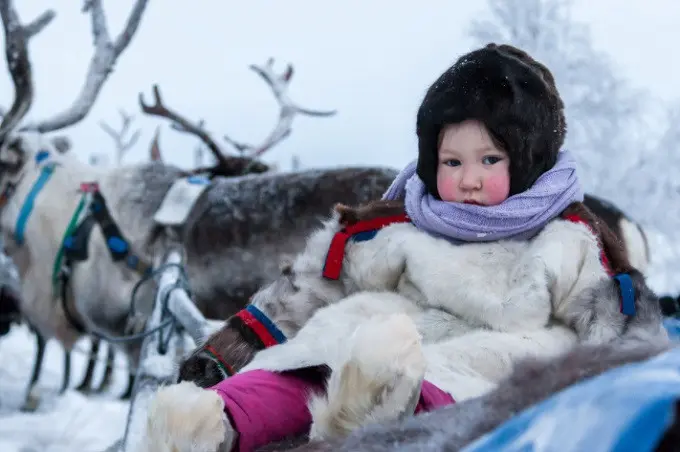 Seorang anak di peternakan rusa Kutub di desa Krasnoye (Okrug Otonom Nenets) (RBTH Indonesia)
