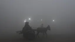 Buruh naik gerobak keledai saat berjalan di tengah cuaca berkabut di Lahore (21/12/2022). Kabut tebal kembali menyelimuti berbagai kota di Punjab, termasuk Lahore pada malam hari antara Selasa dan Rabu, melumpuhkan kehidupan sehari-hari dan mengganggu lalu lintas jalan raya dan udara.(AFP/Arif Ali)