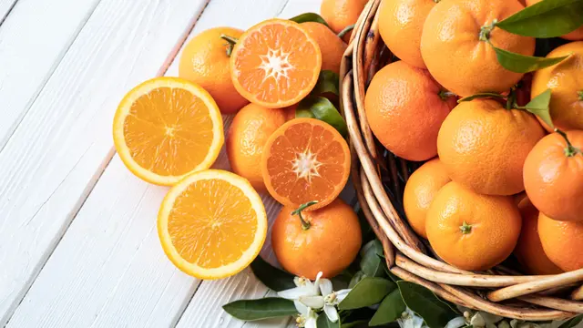 ilustrasi makanan tradisi imlek/PradaBrown/shutterstock