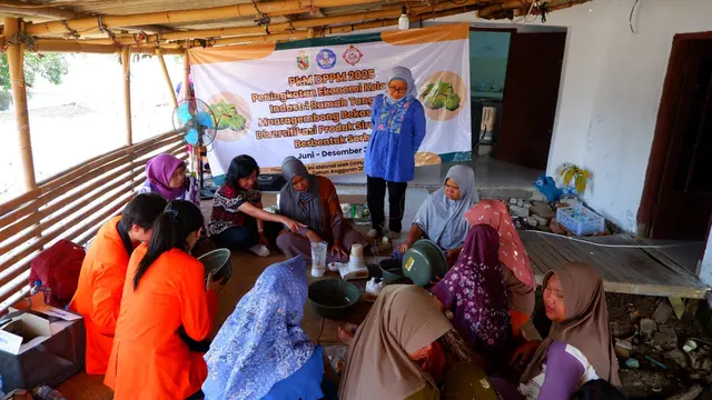 Inovasi Baru Olahan Sari Buah Mangrove