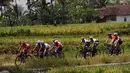 Para pebalap menempuh etape 3 Internasional Tour De Banyuwangi Ijen dengan jarak 201,7 Km dari Kecamatan Muncar hingga Pos Paltuding Gunung Ijen, (18/10/2014). (Liputan6.com/Helmi Fithriansyah)