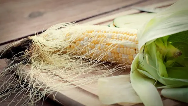 Mengolah Rambut Jagung