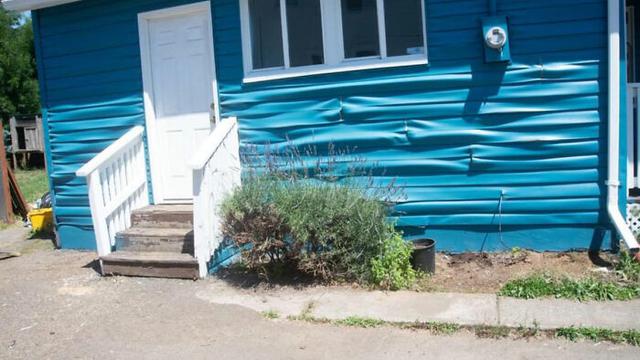 7 Potret Bukti Gelombang Panas di Kanada, Telur Bisa Sampai Matang