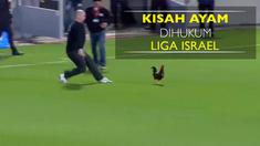 Berita video seekor ayam jantan bernama Rambo yang kena hukuman oleh Liga Sepak Bola Israel karena beberapa kali mengganggu jalannya laga.
