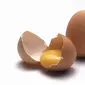 Anda tidak akan menyangkan jika cangkang telur mempunyai segudang manfaat. Simak artikelnya.